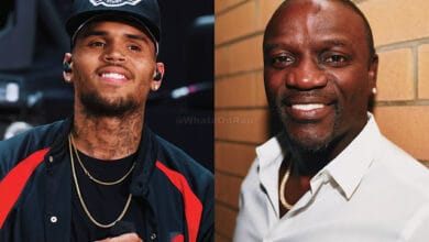Akon says Chris Brown could be Michael Jackson if he surrounded himself with the right people