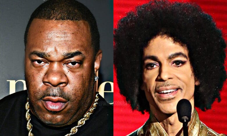 Busta Rhymes and Prince Among Hollywood Walk of Fame Honorees in Class of 2025