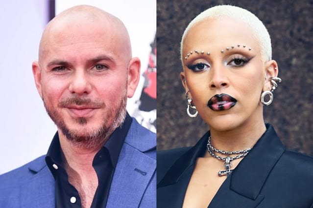 Doja Cat Raises Eyebrows by Suggesting Pitbull for Hip-Hop