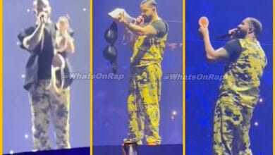 Drake Pauses His Performance After Fan Throws Bra on Stage - WhatsOnRap Drake Pauses Concert After Fan Throws Bra on Stage
