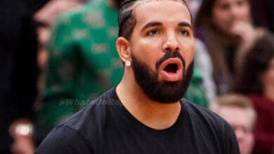 Drake's Los Angeles Home Reportedly Burglarized, A Suspect Was Arrested - WhatsOnRap Drake