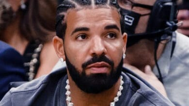 A Trespasser Claiming To Be Drake’s Son Was Reportedly Arrested At The Rapper’s Los Angeles Mansion