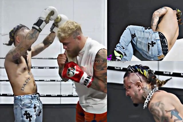 Lil Pump Challenges Jake Paul to Punch Him on Podcast