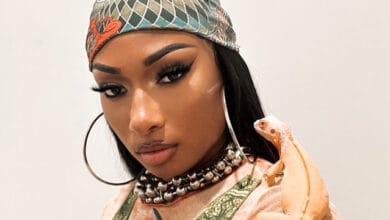 Megan Thee Stallion & Big Sean Settle ‘Go Crazy’ Copyright Lawsuit - WhatsOnRap Megan Thee Stallion and Sean Paul have been sued over an alleged copyright infringement on their song