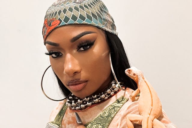 Megan Thee Stallion and Sean Paul have been sued over an alleged copyright infringement on their song