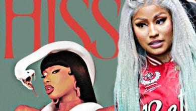 Megan Thee Stallion Breaks Down