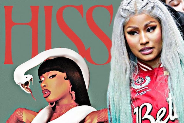 Megan Thee Stallion Breaks Down