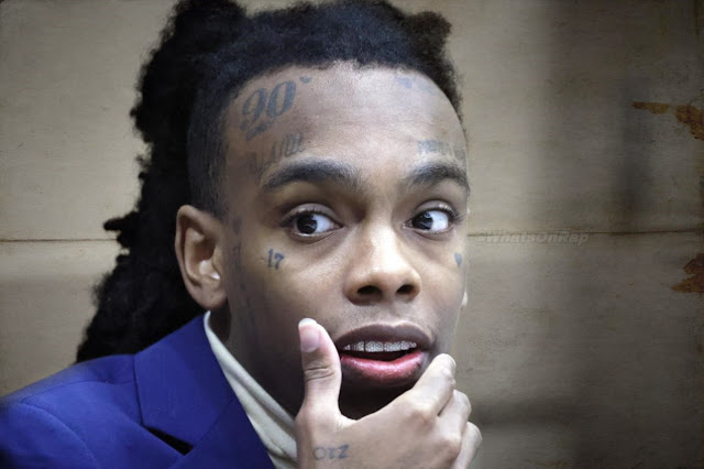 Mariah Hamilton Alleges Police Threats in YNW Melly