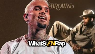 Chris Brown Album Cover Sparks Thriller Homage and Michael Jackson Jokes as Usher Tour Expands.